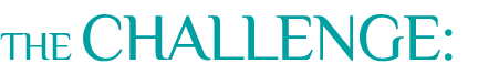 THE CHALLENGE: