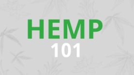 Hemp 101