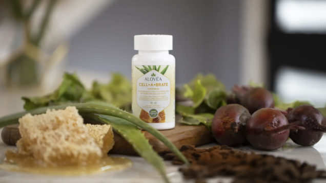 Screen Shot 2020-09-16 at 1.48.16 PM