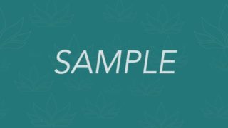 Sample – Danielle Morgan #3