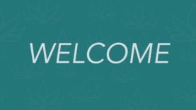 Welcome to Alovéa – Anne Smith BS BC #1