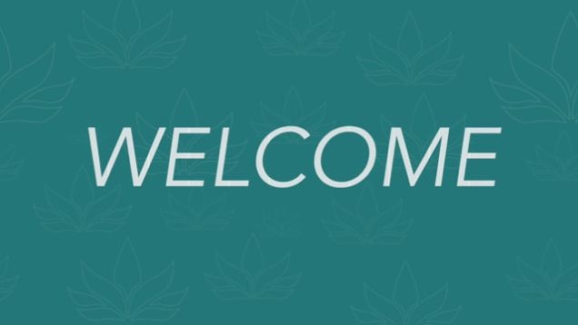 Welcome to Alovéa – Anne Smith BS BC #1