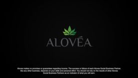 Comp Plan Training with Danny McDaniel – Xperiences